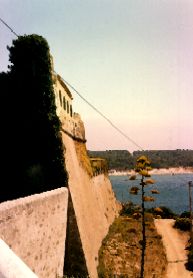 Muralha Sul do Forte, com o lado Poente coberto de heras (1987) e vista sobre o rio Mira