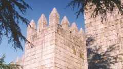 O castelo é rodeado por árvores (foto J. B. César)