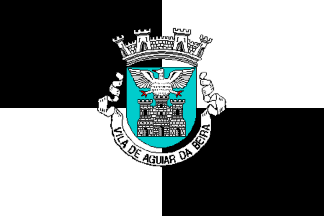 Bandeira de Aguiar da Beira