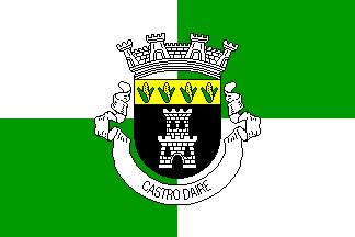 Bandeira de Castro Daire