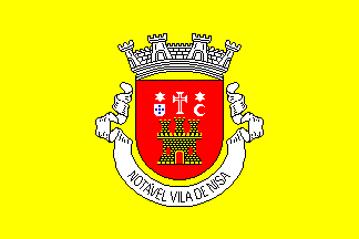 Bandeira de Nisa