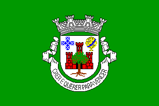 Bandeira de Olivença (irredentista)