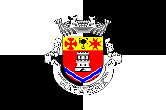 Bandeira da Sertã