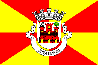 Bandeira de Viseu